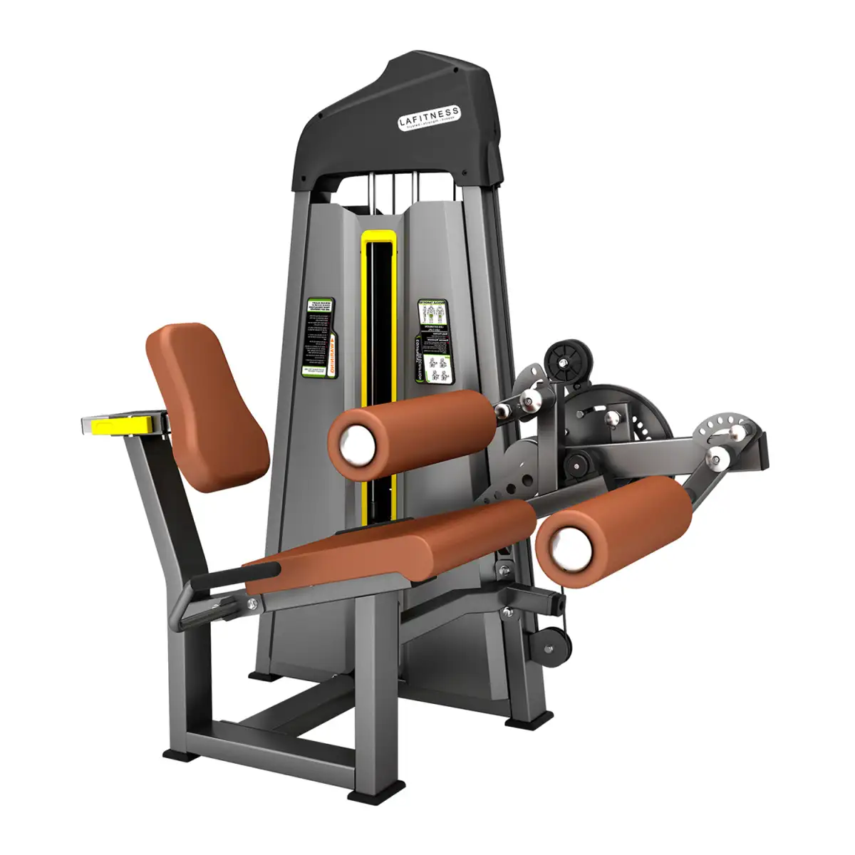 009 EXTENSORA/FLEXORA