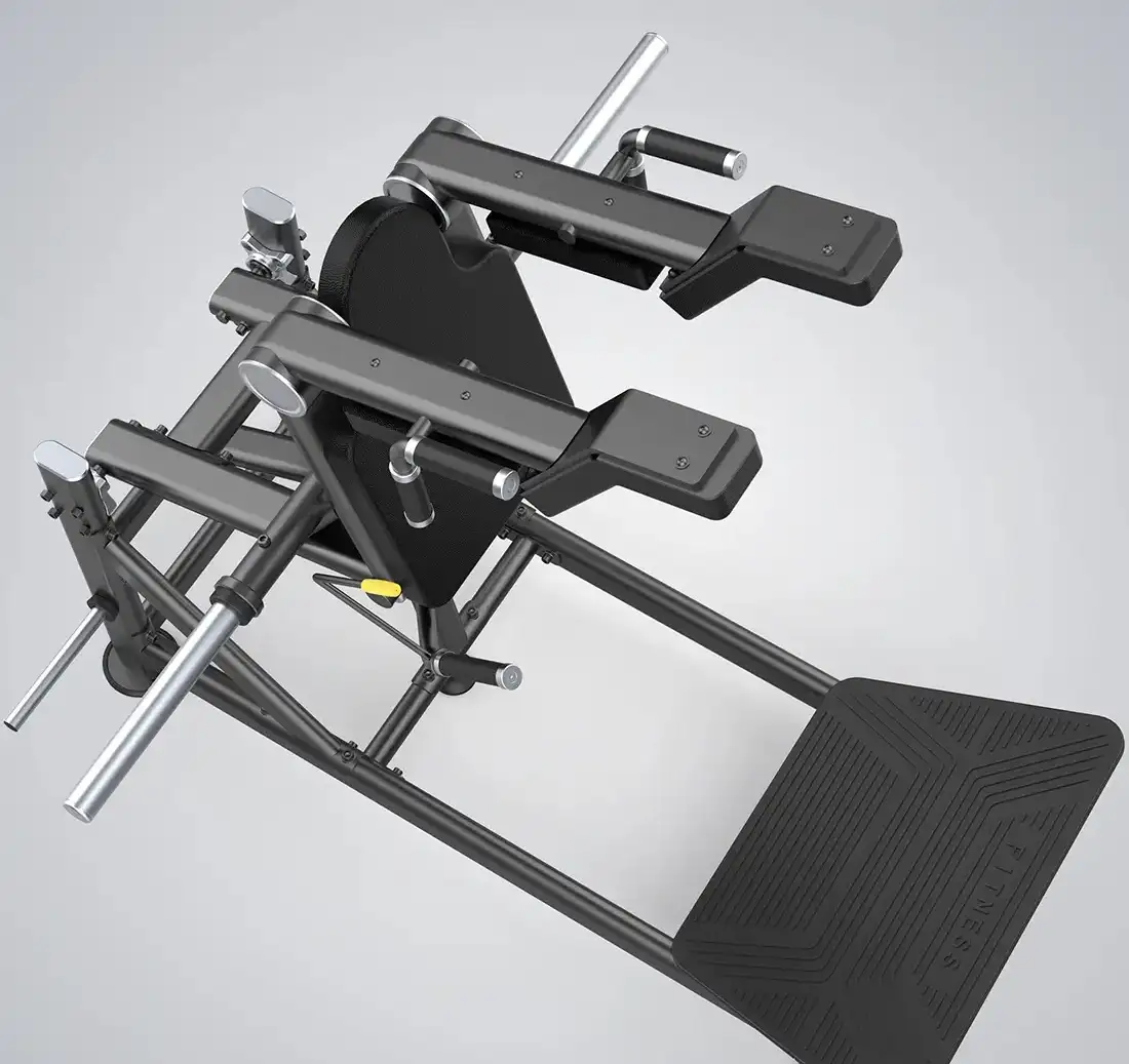 010 squat agachamento